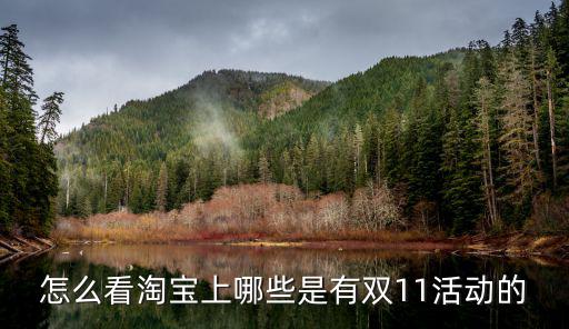 怎么看淘寶上哪些是有雙11活動的