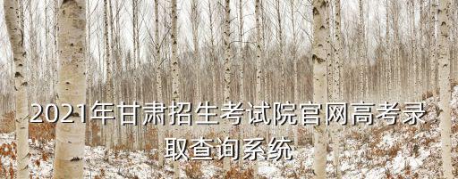 2021年甘肅招生考試院官網高考錄取查詢系統