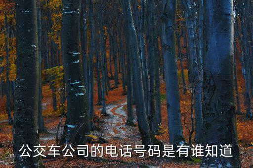 公交車公司的電話號碼是有誰知道