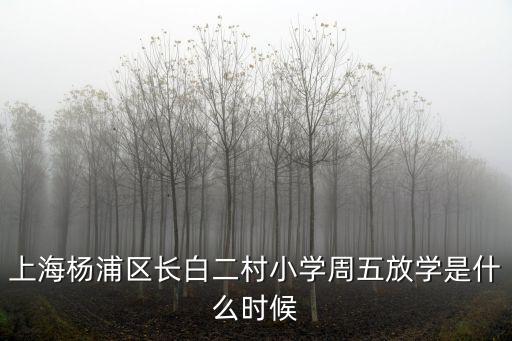 上海楊浦區長白二村小學周五放學是什么時候