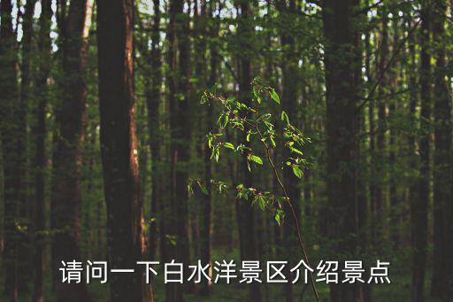 請問一下白水洋景區介紹景點