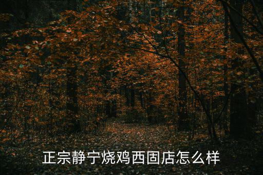 正宗靜寧燒雞西固店怎么樣