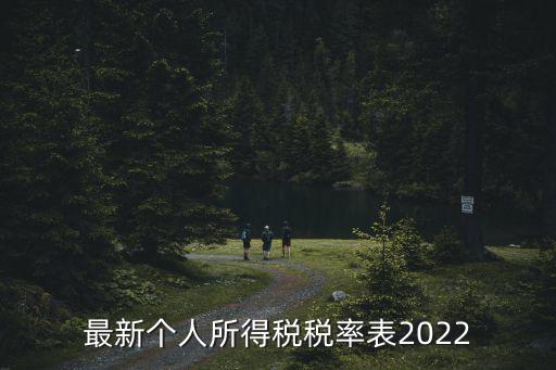 最新個人所得稅稅率表2022