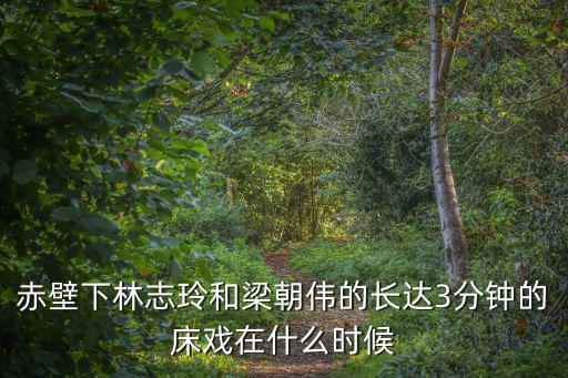 赤壁下林志玲和梁朝偉的長達3分鐘的床戲在什么時候