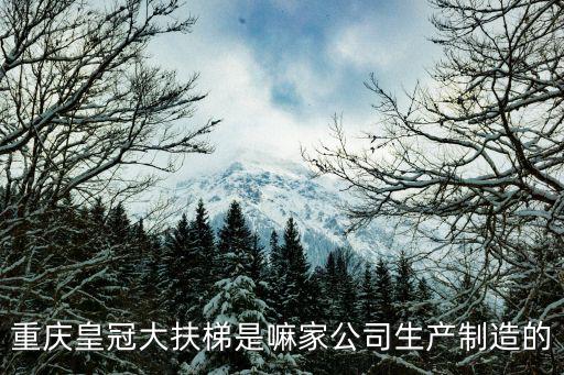 重慶皇冠大扶梯，重慶皇冠大扶梯是嘛家公司生產制造的