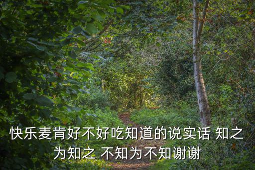 快樂麥肯好不好吃知道的說實話 知之為知之 不知為不知謝謝