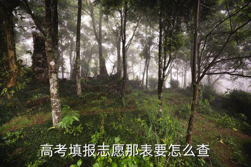高考填報(bào)志愿那表要怎么查