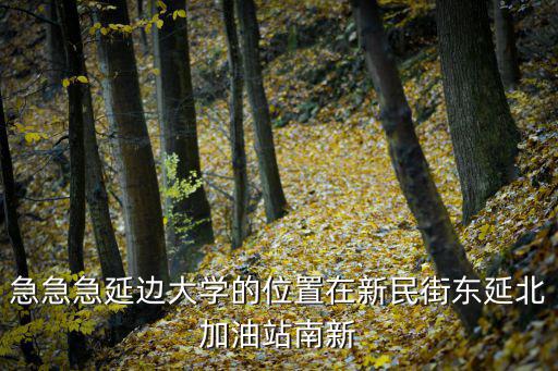 急急急延邊大學(xué)的位置在新民街東延北加油站南新