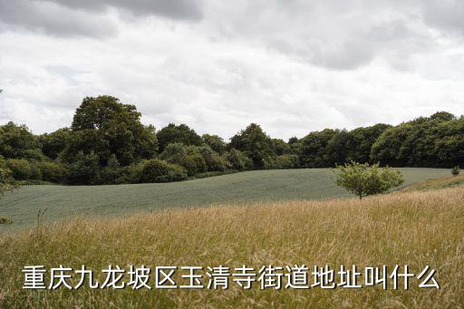 重慶九龍坡區玉清寺街道地址叫什么
