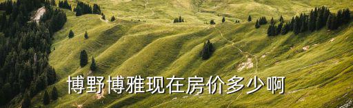 博野博雅現在房價多少啊