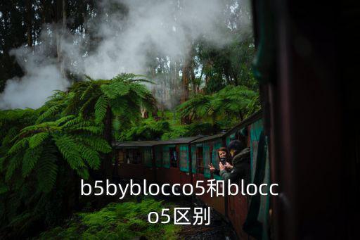 b5byblocco5和blocco5區(qū)別