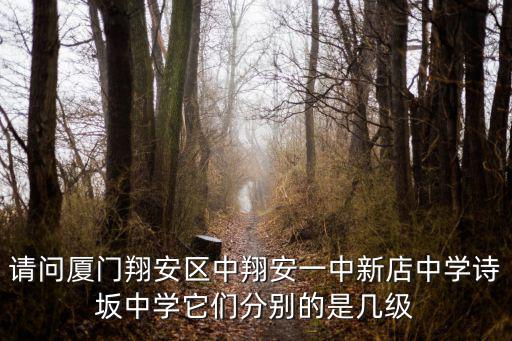 請(qǐng)問廈門翔安區(qū)中翔安一中新店中學(xué)詩坂中學(xué)它們分別的是幾級(jí)