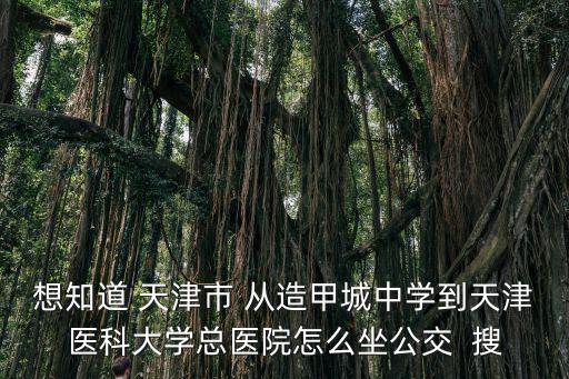 想知道 天津市 從造甲城中學(xué)到天津醫(yī)科大學(xué)總醫(yī)院怎么坐公交  搜