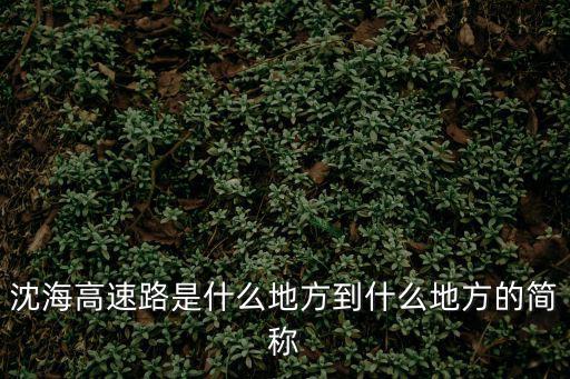 沈海高速公路，誰知道沈海高速公路有多長