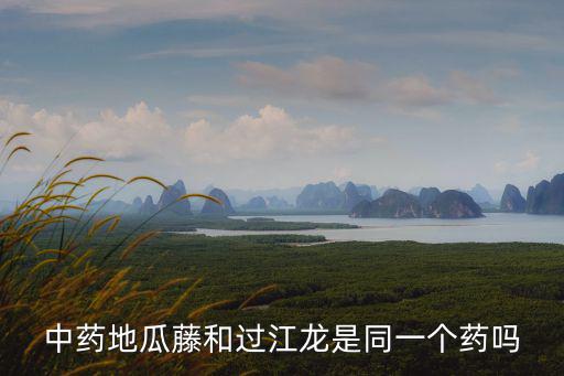 中藥地瓜藤和過江龍是同一個藥嗎