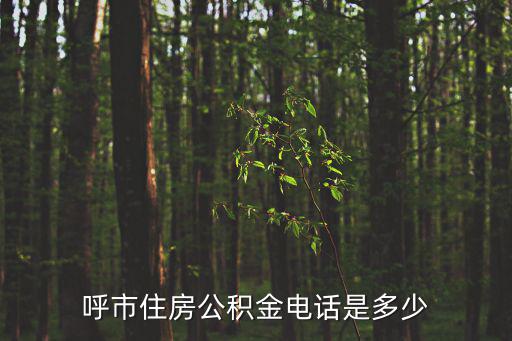 呼和浩特市公積金，內蒙古住房公積金和呼和浩特住房公積金可否互用