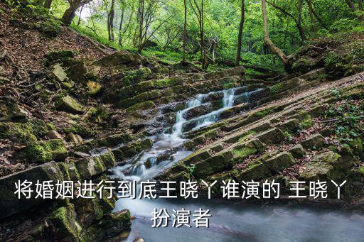 將婚姻進(jìn)行到底王曉丫誰演的 王曉丫扮演者
