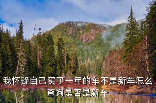 我懷疑自己買了一年的車不是新車怎么查詢是否是新車