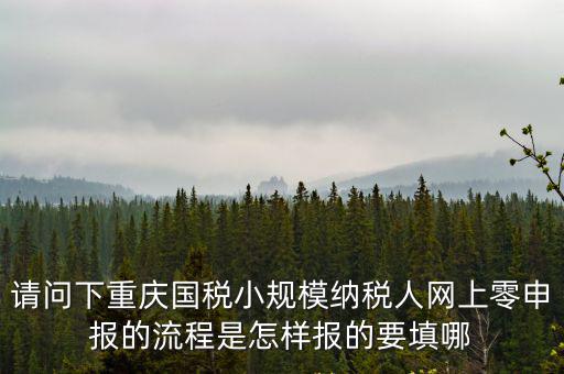 請問下重慶國稅小規(guī)模納稅人網上零申報的流程是怎樣報的要填哪