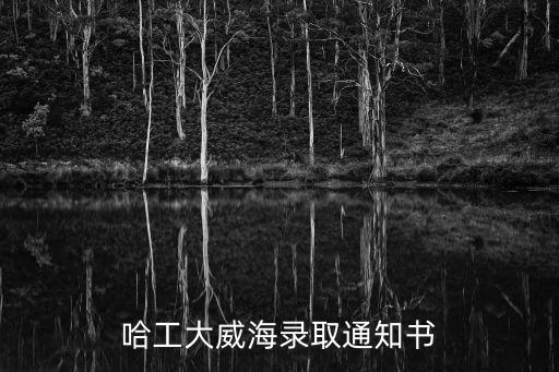 哈工大通知書鑲寶石，哈工大威海錄取通知書
