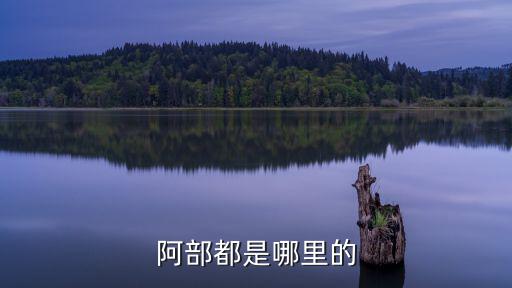 阿部都是哪里的