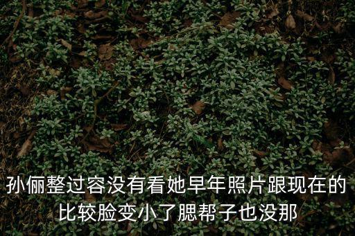 孫儷整過容沒有看她早年照片跟現在的比較臉變小了腮幫子也沒那