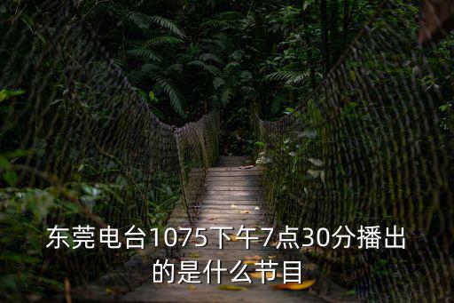 東莞電臺1075下午7點30分播出的是什么節(jié)目
