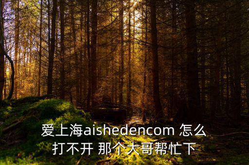 愛(ài)上海aishedencom 怎么打不開(kāi) 那個(gè)大哥幫忙下