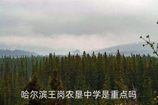 哈爾濱王崗農墾中學是重點嗎