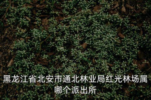紅光派出所，秦皇島海港區(qū)紅光北里歸哪個(gè)派出所管轄