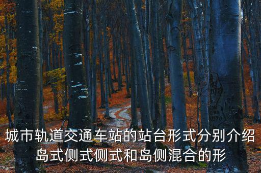 城市軌道交通車站的站臺形式分別介紹島式側式側式和島側混合的形