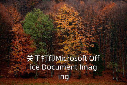 關(guān)于打印Microsoft Office Document Imaging