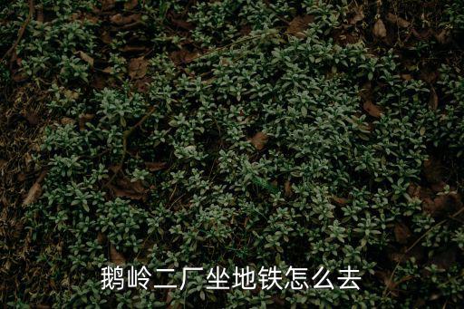 鵝嶺二廠坐地鐵怎么去