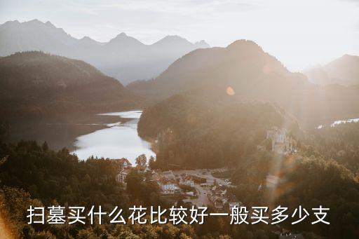 掃墓買什么花比較好一般買多少支