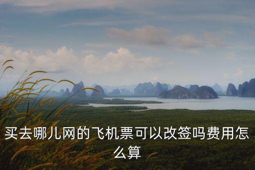 買去哪兒網的飛機票可以改簽嗎費用怎么算