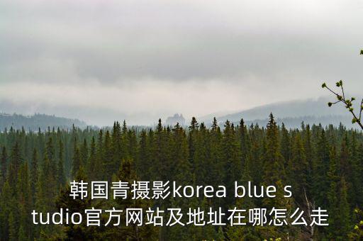 韓國青攝影korea blue studio官方網站及地址在哪怎么走