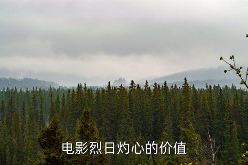 烈日灼心票房，電影烈日灼心的價值