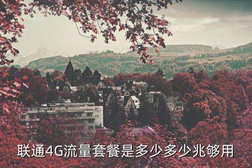 聯(lián)通4G流量套餐是多少多少兆夠用