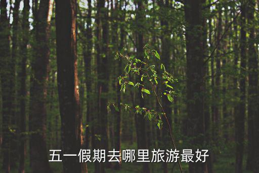 五一適合去哪旅游，五一假期去哪里旅游最好