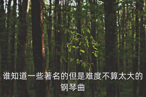 誰知道一些著名的但是難度不算太大的鋼琴曲