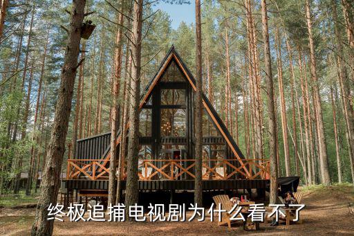終極追捕電視劇為什么看不了