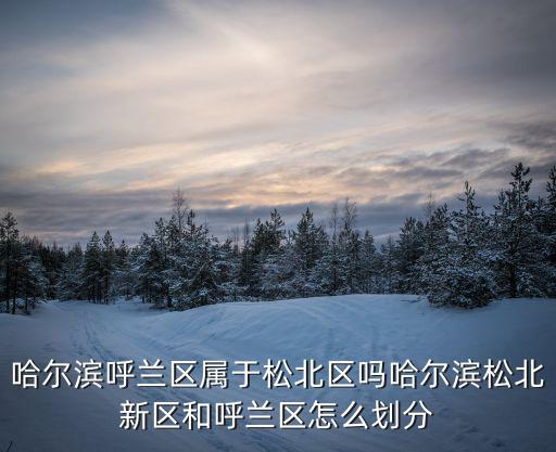 哈爾濱市松北區，哈爾濱松北區內有多少個鄉