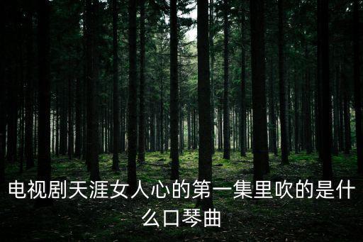 天涯女人心電視劇，電視劇天涯女人心的第一集里吹的是什么口琴曲