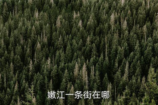 嫩江一條街在哪