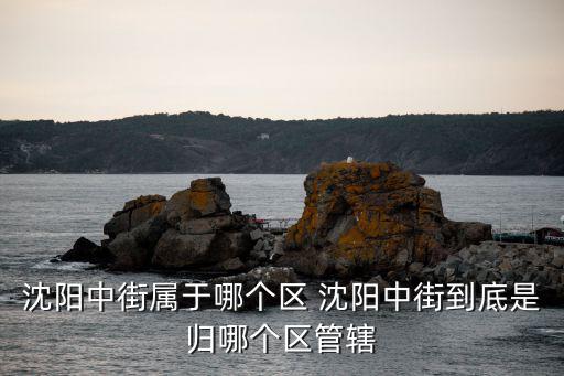 沈陽中街在哪個區，沈陽中街在哪個區