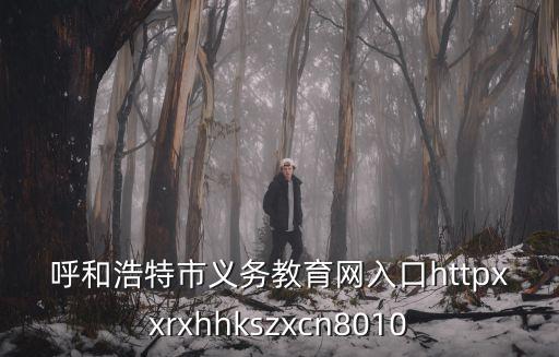 呼和浩特市義務教育小學入學服務平臺，呼和浩特賽罕區教育局