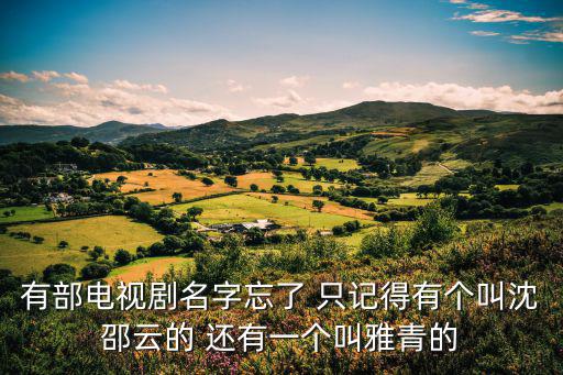有部電視劇名字忘了 只記得有個叫沈邵云的 還有一個叫雅青的