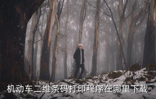 車主本人機動車二維碼在哪，請問車輛識別碼在哪里可以查詢