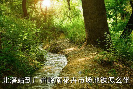 北滘站到廣州嶺南花卉市場地鐵怎么坐
