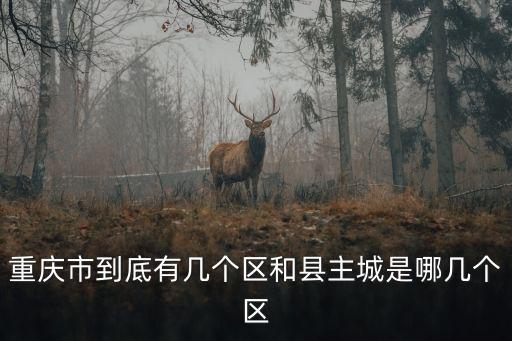 重慶市到底有幾個區(qū)和縣主城是哪幾個區(qū)